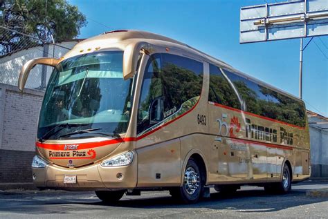 primera plus renta de autobuses